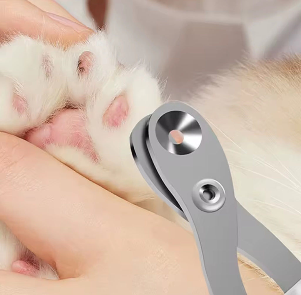 Ciseaux à ongles pour chat – précis, anti-blessure, ergonomique
